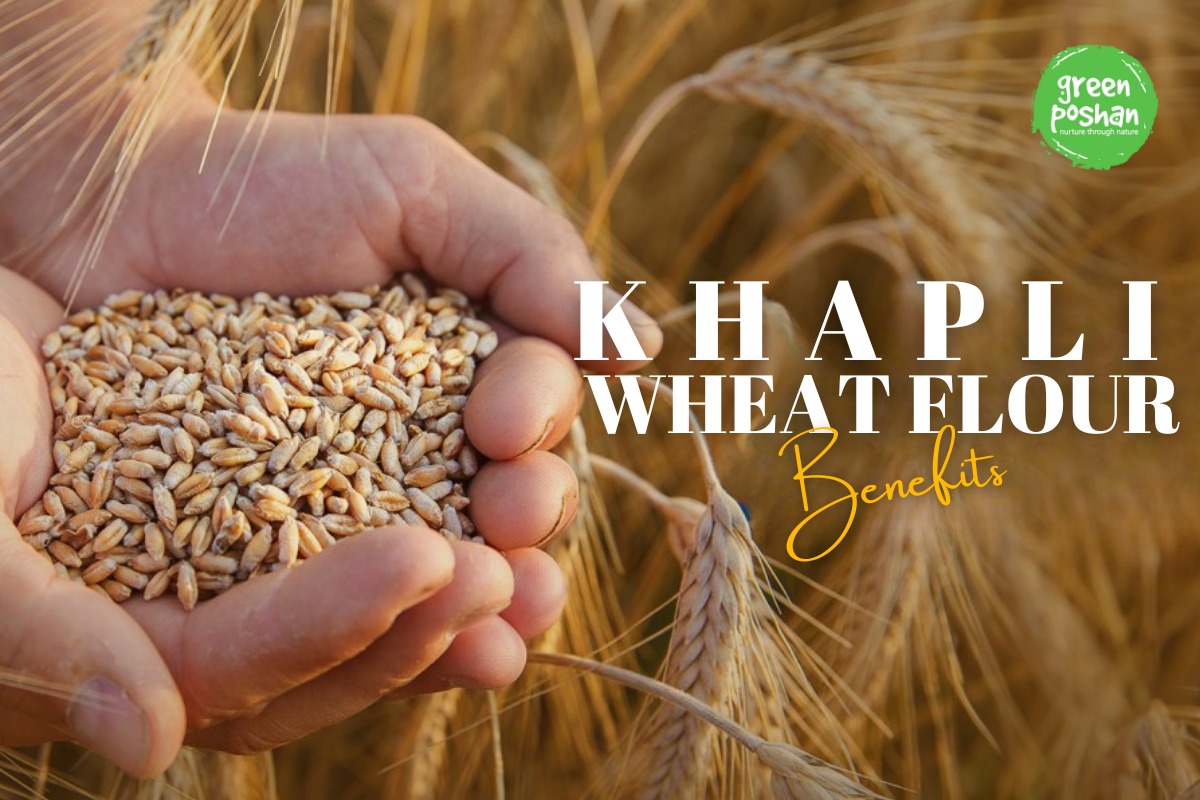 Khapli Wheat Flour Benefits